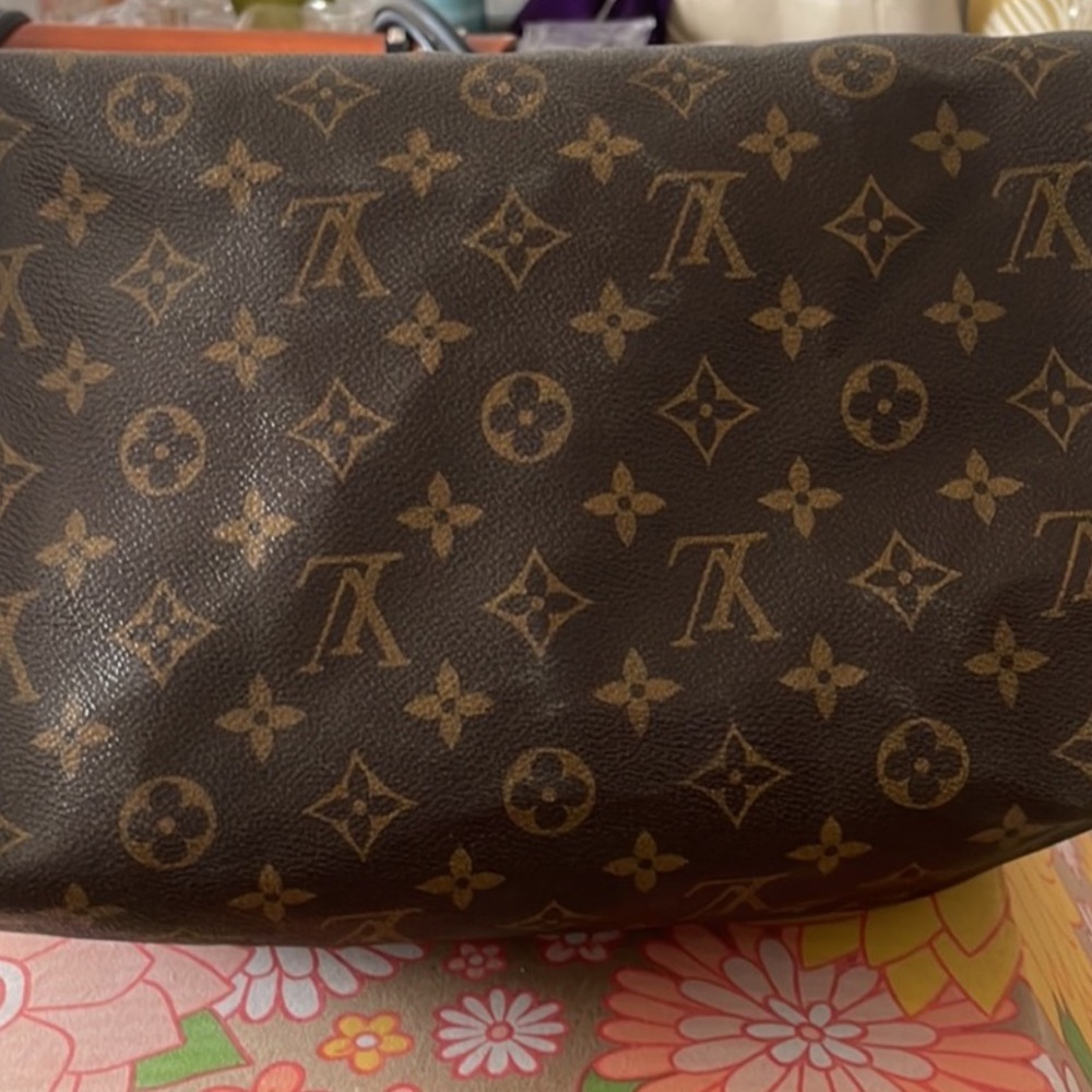 Louis Vuitton Monogram Brown and Tan Bag - Picture 3 of 11